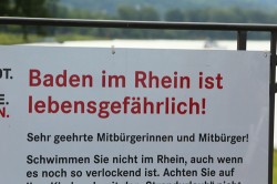 Drei Master im Rhein